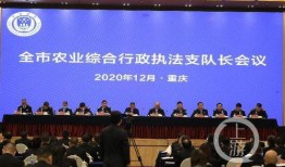 建瓯新闻记者爆料,揭秘背后真相！